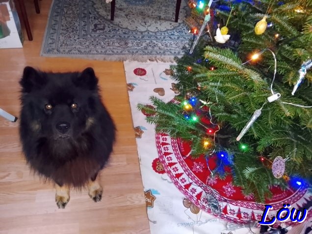 23.12.2025 - Nahaufnahme